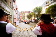 Alphornensemble Meiningen
