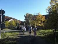 4. Weideabtrieb in Ginolfs
