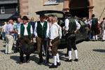 Alphorn und Blech