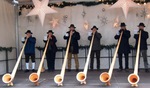 Alphorn Rhön