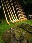 GEsamtchor Alphorn