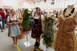 Holzfee