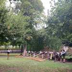 Alphornbläser in Würzburg